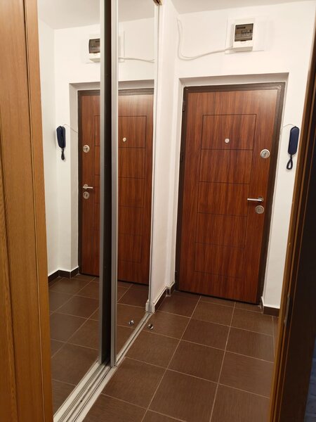 Colentina, Teiul Doamnei,