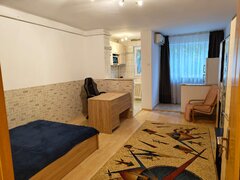 Colentina, Teiul Doamnei