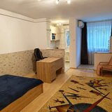 Colentina, Teiul Doamnei